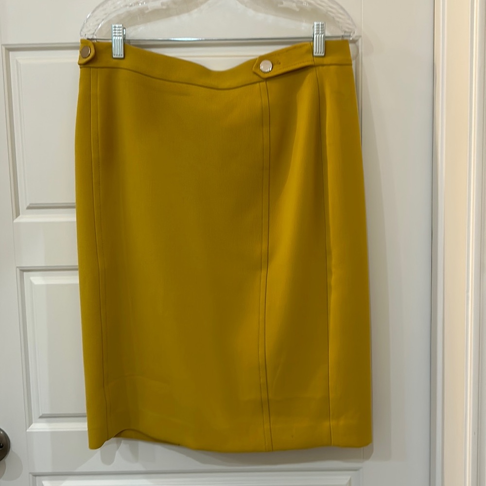 Ann Taylor Skirt (12)